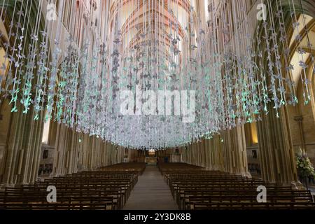 Innenansicht, Friedentauben, Wells Cathedral, Wells, England, Großbritannien Stockfoto