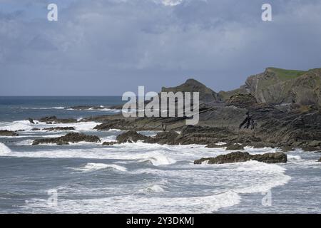 Warren Beach, Küstenlandschaft, Hartland Quay, Stoke, Hartland, England, Großbritannien Stockfoto