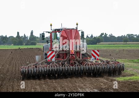 Traktor mit landwirtschaftlicher Maschine bei der Bodenbearbeitung , Deutschland, Rheinland-Pfalz, Otterstadt, 13.09.2024, ein Traktor zieht eine große landwirtschaftliche Maschine über ein Feld, um den Boden zu bearbeiten. Im Hintergrund sind Vögel und eine ländliche Landschaft zu sehen. *** Traktor mit Landmaschine, die den Boden bewirtschaftet, Deutschland, Rheinland-Pfalz, Otterstadt, 13 09 2024, ein Traktor zieht eine große landwirtschaftliche Maschine über ein Feld, um die Bodenvögel zu bearbeiten, und im Hintergrund ist eine ländliche Landschaft zu sehen Stockfoto