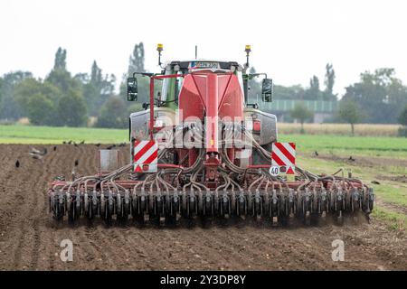 Traktor mit landwirtschaftlicher Maschine bei der Bodenbearbeitung , Deutschland, Rheinland-Pfalz, Otterstadt, 13.09.2024, ein Traktor zieht eine große landwirtschaftliche Maschine über ein Feld, um den Boden zu bearbeiten. Im Hintergrund sind Vögel und eine ländliche Landschaft zu sehen. *** Traktor mit Landmaschine, die den Boden bewirtschaftet, Deutschland, Rheinland-Pfalz, Otterstadt, 13 09 2024, ein Traktor zieht eine große landwirtschaftliche Maschine über ein Feld, um die Bodenvögel zu bearbeiten, und im Hintergrund ist eine ländliche Landschaft zu sehen Stockfoto