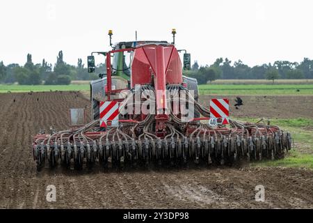 Traktor mit landwirtschaftlicher Maschine bei der Bodenbearbeitung , Deutschland, Rheinland-Pfalz, Otterstadt, 13.09.2024, ein Traktor zieht eine große landwirtschaftliche Maschine über ein Feld, um den Boden zu bearbeiten. Im Hintergrund sind Vögel und eine ländliche Landschaft zu sehen. *** Traktor mit Landmaschine, die den Boden bewirtschaftet, Deutschland, Rheinland-Pfalz, Otterstadt, 13 09 2024, ein Traktor zieht eine große landwirtschaftliche Maschine über ein Feld, um die Bodenvögel zu bearbeiten, und im Hintergrund ist eine ländliche Landschaft zu sehen Stockfoto