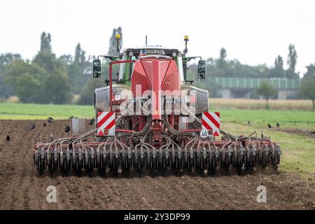 Traktor mit landwirtschaftlicher Maschine bei der Bodenbearbeitung , Deutschland, Rheinland-Pfalz, Otterstadt, 13.09.2024, ein Traktor zieht eine große landwirtschaftliche Maschine über ein Feld, um den Boden zu bearbeiten. Im Hintergrund sind Vögel und eine ländliche Landschaft zu sehen. *** Traktor mit Landmaschine, die den Boden bewirtschaftet, Deutschland, Rheinland-Pfalz, Otterstadt, 13 09 2024, ein Traktor zieht eine große landwirtschaftliche Maschine über ein Feld, um die Bodenvögel zu bearbeiten, und im Hintergrund ist eine ländliche Landschaft zu sehen Stockfoto