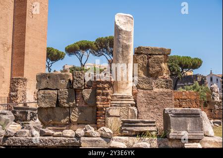 Rom, Italien - 13. August 2024: Ruinen von Gebäuden in den Foren Romanum. Stockfoto