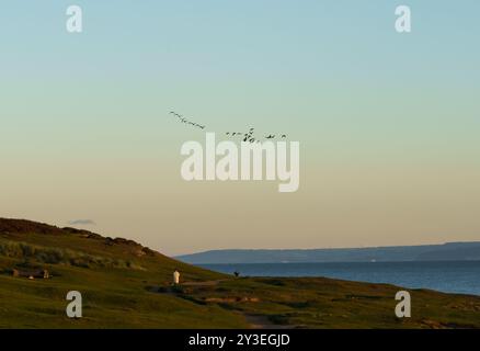 Eine Frau und ein einsamer Mann laufen in entgegengesetzter Richtung entlang der Dünen bei Ogmore by Sea, Vale of Glamorgan. Sonnenuntergang. Fallendes Licht. Vögel im Flug. Stockfoto