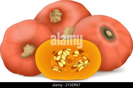 Ganze und die Hälfte von Sunshine Kabocha Squash. Winter-Squash. Cucurbita maxima. Obst und Gemüse. Isolierte Vektordarstellung. Stock Vektor