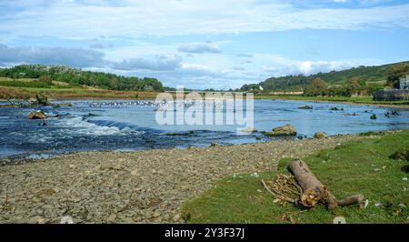 Der Fluss Ogmore, Ogmore on Sea, Südwales, fließt durch Sanddünen nahe seiner Mündung. Ein Ort, an dem Vögel sich niederlassen und fressen. Spätsommer. Stockfoto