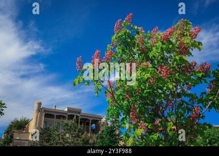 Samarkand-Straßen unter dem blauen Himmel in Usbekistan Stockfoto