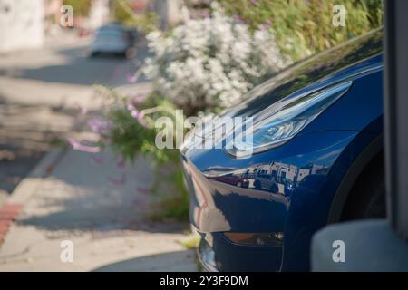 LOS ANGELES - 5. März 2024: Elektroauto Tesla Model 3 parkt in der Einfahrt, schöne Gartenblumen wachsen im Hintergrund. Selektiver Fokus auf Headlig Stockfoto