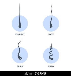 Haartypen Chart Satz von Strängen Wachstumsmuster Stock Vektor