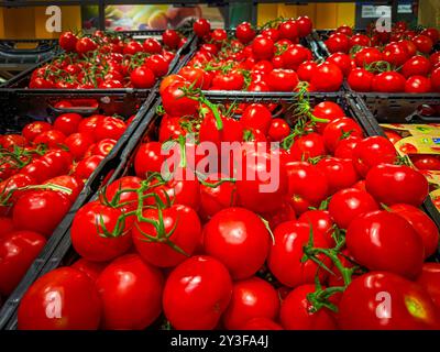 Tomaten im Supermarkt, frisches Gemüse, leuchtend rot, aufgereiht in Kisten, Frischeabteilung, saisonale Produkte, Konsum, Ernährung, Lebensmittelpreise, Inflation, Obst- und Gemüsepreise, regionale Ware, Nachhaltigkeit, Ressourcenschonung, Saisonalität, Klimaschutz, Wasserknappheit, Agrarwirtschaft, Konsumverhalten, Energiekrise, Ressourcenknappheit, Anbauprobleme, Lebensmittelsicherheit, Preisschock, Umweltschutz, Einkaufstrends, Preisbewusstsein, Ernährungstrends, Konsumkrise. *** Tomaten im Supermarkt, frisches Gemüse, knallrot, in Kisten angereiht, Frischwaren, saisonal Stockfoto