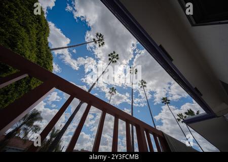 Der niedrige Blickwinkel fängt einen beeindruckenden Kontrast von hohen Palmen gegen den wolkig blauen Himmel ein, eingerahmt von den Linien architektonischer Elemente. Die Perspektive Stockfoto