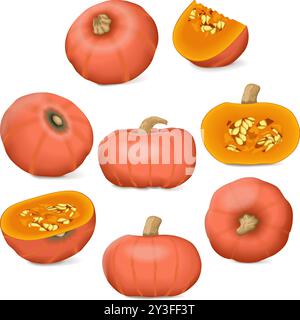 Clip Art. Sonnenschein Kabocha Squash. Winter-Squash. Cucurbita maxima. Obst und Gemüse. Isolierte Vektordarstellung. Stock Vektor