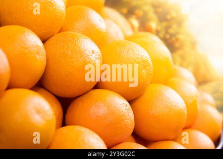 Orangen frisch von Bäumen im Orangenhain geerntet. Orangen sind eine gesunde, ballaststoffreiche, kalorienarme, nahrhafte Zitrusfrucht reich an Vitamin C.. Stockfoto