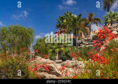 Villen an der Atlantikküste auf den Kanarischen Inseln, Millionärhäuser in Costa Adeje, Wohnhäuser an der Küste von Playa del Duque Stockfoto