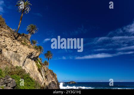 Strand mit schwarzem vulkanischem Sand, grüne Palmen am Hang, gefährliche Wellen, Atlantik, Castro Beach Playa Castro Teneriffe Spanien Stockfoto