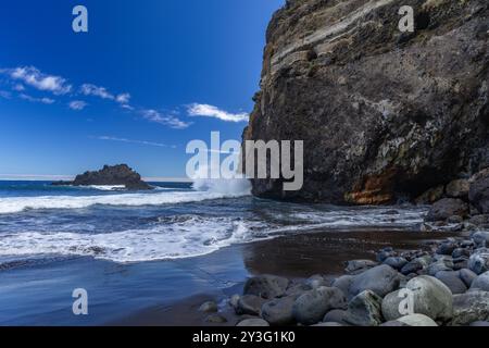 Strand mit schwarzem vulkanischem Sand, grüne Palmen am Hang, gefährliche Wellen, Atlantik, Castro Beach Playa Castro Teneriffe Spanien Stockfoto