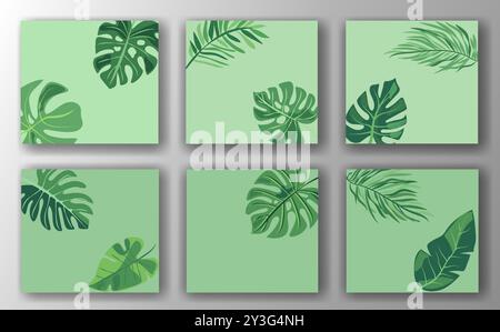 Set aus sechs Vorlagen für Social-Media-Beiträge mit grünem Blatt auf hellgrünem Hintergrund. Jede Vorlage verfügt über verschiedene Blätter in einem minimalistischen, modernen Design Stock Vektor