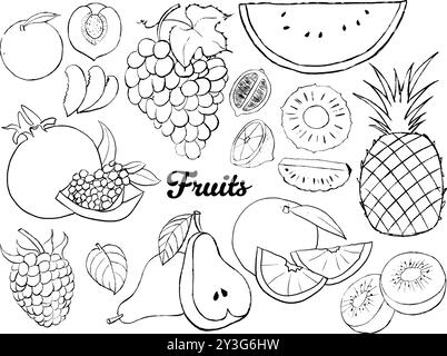Set von Früchten, Gemüse, Brot, Fleisch und Fast Food-Kritzeleien, handgezeichnete Illustration von Obst, Gemüse, Fleisch und Fast Food Stock Vektor