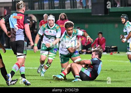 Spielaktionen und Spielbilder während des Spiels zwischen Benetton Rugby und Harlequins FC im Monigo Stadium, TrevisoÂ 13. September 2024 während Benetton Rugby vs Harlequins FC, Rugby Test Match in Treviso, Italien, 13. September 2024 Stockfoto