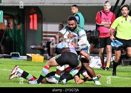 Spielaktionen und Spielbilder während des Spiels zwischen Benetton Rugby und Harlequins FC im Monigo Stadium, TrevisoÂ 13. September 2024 während Benetton Rugby vs Harlequins FC, Rugby Test Match in Treviso, Italien, 13. September 2024 Stockfoto