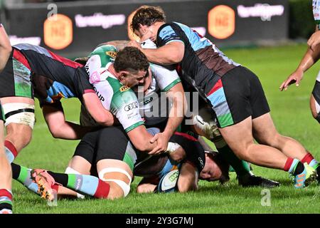 Spielaktionen und Spielbilder während des Spiels zwischen Benetton Rugby und Harlequins FC im Monigo Stadium, TrevisoÂ 13. September 2024 während Benetton Rugby vs Harlequins FC, Rugby Test Match in Treviso, Italien, 13. September 2024 Stockfoto