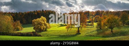 Ländliches Paradies im Herbst in herrlichem Licht. Eine Panoramalandschaft mit grünen Wiesen, bunten Bäumen und dramatischem Himmel Stockfoto