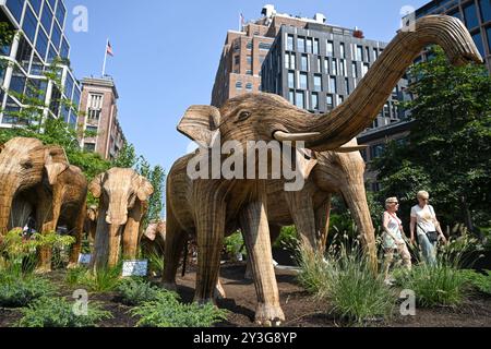 Lebensgroße Elefantenskulpturen sind während der Ausstellung „Great Elephant Migration“ im Chelsea District am 13. September 2024 in New York City zu sehen. Stockfoto