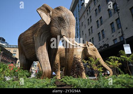 Lebensgroße Elefantenskulpturen sind während der Ausstellung „Great Elephant Migration“ im Chelsea District am 13. September 2024 in New York City zu sehen. Stockfoto