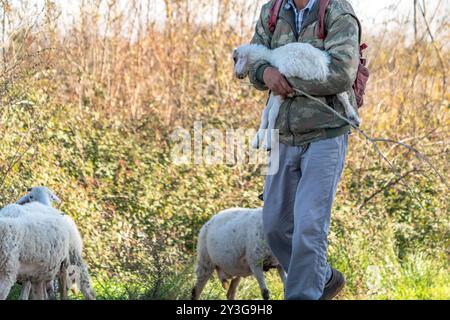 Shepherd trägt sein Lamm auf dem Schoß Stockfoto