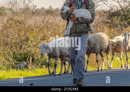 Shepherd trägt sein Lamm auf dem Schoß Stockfoto