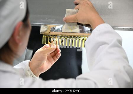 SUQIAN, CHINA - 13. SEPTEMBER 2024 - Ein Arbeiter testet Diclofenac-Natrium-Injektion bei einem Pharmaunternehmen in Suqian, Provinz Jiangsu, China, Septem Stockfoto