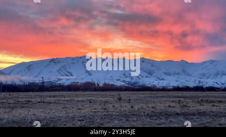 Pulsierender Sonnenuntergang über der schneebedeckten Bergkette in der Nähe von Twizel Stockfoto
