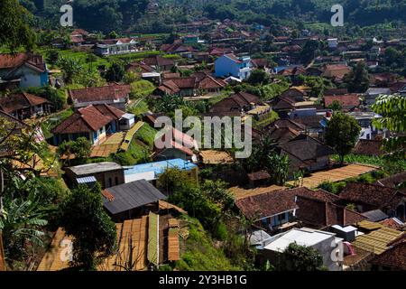 Bandung, West-Java, Indonesien. September 2024. Luftaufnahme von Tabletts Tabakblätter, die unter der Sonne in Sumedang, Indonesien, trocknen. In der Trockenzeit arbeiten die Bewohner des Dorfes Tembakau hart daran, Tabakblätter zu verarbeiten. Tabletts mit sonnengetrocknetem Tabak füllen die Straßen, Dächer und Terrassen des Dorfes. Tabak aus diesem Dorf wird in verschiedene Regionen in West-Java geschickt und ins Ausland exportiert. Derzeit erreicht die Zahl der aktiven Raucher in Indonesien 70 Millionen Menschen, zumeist junge Menschen, basierend auf der indonesischen Gesundheitsstudie. (Kreditbild: © Algi Febri Sugita/ZUMA Press Wire) NUR REDAKTIONELLE VERWENDUNG! Stockfoto
