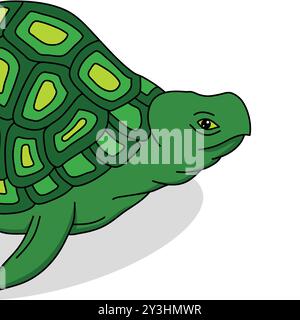 Grüne Schildkröte Vektor-Illustration Stock Vektor
