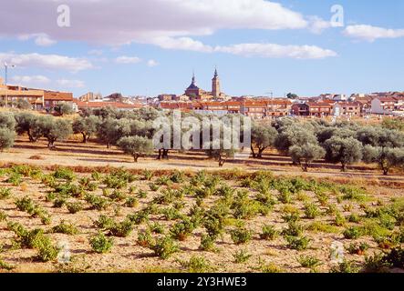 Übersicht. Navalcarnero, Provinz Madrid, Spanien. Stockfoto