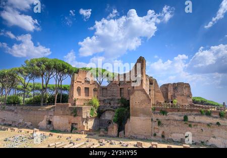 Tribun des Palatin-Stadions in Rom, Italien. Stockfoto