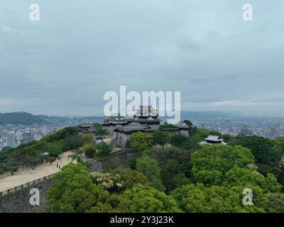 Luftbild von Matsuyama Castle an einem bewölkten Tag. Stockfoto