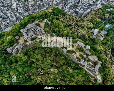 Luftbild von Matsuyama Castle an einem bewölkten Tag. Stockfoto