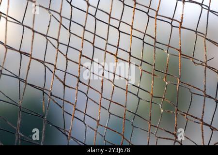 Nahaufnahme des alten rostigen Metallzaun, verschwommener Hintergrund. Stockfoto