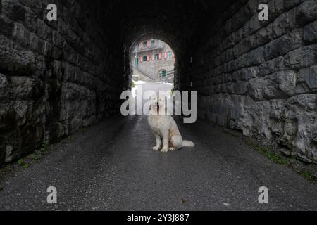 Wintereinbruch in BAD GASTEIN, Salzburg, Österreich, 13.09.2024 Stockfoto