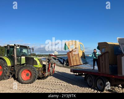 Timmendorfer Strand, Deutschland. September 2024. Liegestuhl Verleih Natascha Diestel-Babakerd steht auf einem Wohnwagen. Ein Traktor hebt die Liegestühle darauf. Von dort aus werden sie ins Winterlager gebracht. Autor: Thomas Müller/dpa/Alamy Live News Stockfoto