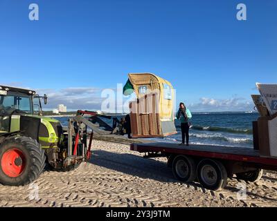 Timmendorfer Strand, Deutschland. September 2024. Liegestuhl Verleih Natascha Diestel-Babakerd steht auf einem Wohnwagen. Ein Traktor hebt die Liegestühle darauf. Von dort aus werden sie ins Winterlager gebracht. Autor: Thomas Müller/dpa/Alamy Live News Stockfoto