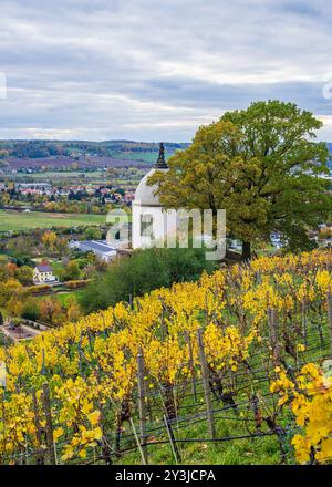 Weinberg bei Schloss Wackerbarth im Herbst. Weinterrassen. Radebeul. Deutschland. Stockfoto