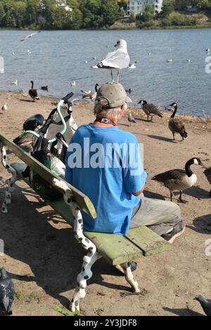 Ein Mann sitzt auf einer Bank am Meer und füttert Wasservögel am sonnigen Spätsommertag. Ein Vogel steht auf seinem Kopf. Stockfoto