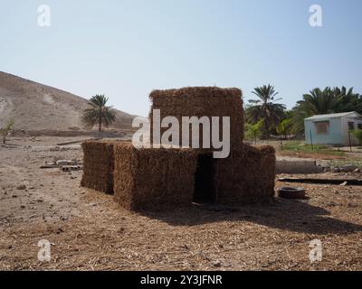 Muarrajat, Westjordanland – 13. September 2024 vergiften Siedler 82 Ziegen im Dorf Muarrajat nördlich von Jericho. Das Dorf ist mit anhaltender Gewalt und Schikanen des Staates und der Siedler konfrontiert. Stockfoto