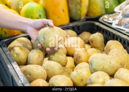 Eine Hand, die eine Kartoffel aus einem mit vielen Kartoffeln gefüllten Korb in einem Lebensmittelgeschäft auswählt. Der Hintergrund zeigt verschiedene Obst- und Gemüsesorten, die kreieren Stockfoto