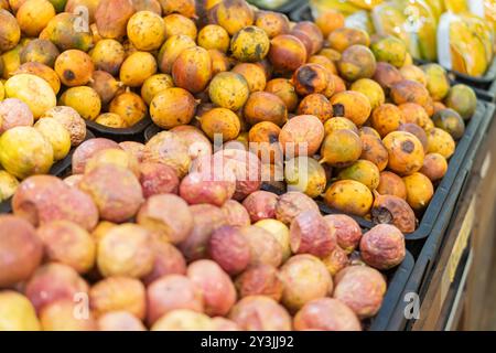 Eine lebhafte Präsentation verschiedener tropischer Früchte, einschließlich Gelb- und Orangentöne, die ordentlich in einem Marktumfeld angeordnet sind. Die Früchte erscheinen frisch und reif, Stockfoto