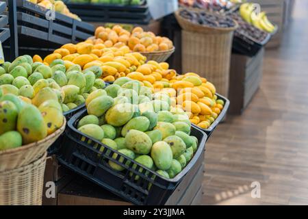 Ein Korb gefüllt mit Reifen Mangos in verschiedenen Grün- und Gelbtönen, die ihre natürliche Textur und Farbvariationen zeigen. Der Korb ist gewebt und Stockfoto