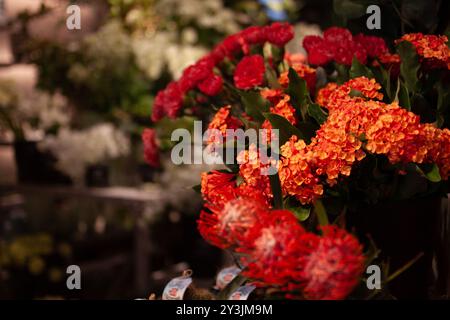 Farbenfrohe Darstellung von roten und orangen Blumen in einem Boutique-Blumengeschäft mit sattem grünem Hintergrund Stockfoto