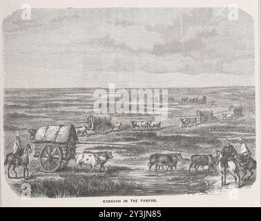 KARAWANE IN DER PAMPAS. Bild von Seite 253 von 'Wanderungen in jedem Clime; oder, Reisen, Reisen und Abenteuer auf der ganzen Welt ... Eine Fortsetzung zu „die Erde mit Stift und Bleistift abgegrenzt“ ... Mit ... Illustrationen, etc' Stockfoto